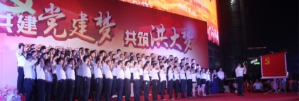 共建党建梦，共筑洪大梦！