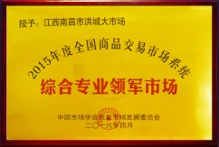 2016年综合专业领军市场