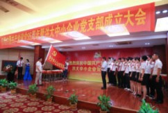 [两学一做]洪大中小企业党支部成立