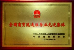 2015全国商贸流通服务业先进集体