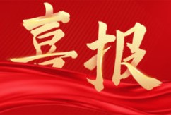      12月2日至3日，由省委退役军人事务工作领导小组办公室、省退役军人事务厅、省军区政治工作局和九江市委、市政府联合主办的第一届江西省退役军人“永远跟党走 建功新时代”主题活动在九江举办。活动现场，集团党委书记余小玲受聘为全省第一批“退役军人就业创业创新导师”。