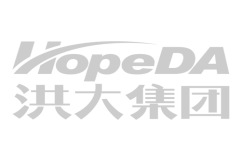 以创新为本 全面提升洪大集团核心竞争力