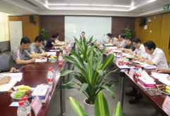 集团召开第六届董事会第八次会议和2013年第一次股东大会