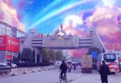 繁荣发展了20余年的洪城大市场，日复一日年复一年，或许过往的场景早已模糊不清，但如果有一天，我们换一种方式去看待这里，如果这个市场仅仅是一幅画，而我们都是画中人时，那又会种什么样的感觉呢？