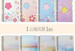  新洪大2号馆4楼 文具用品种类繁多