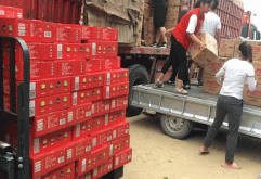  日前，河南省多地持续遭受百年一遇的特大暴雨袭击，郑州等城市发生严重内涝，人民群众生命财产受到严重损失。洪水无情人有情，河南人民的灾情牵动着洪大爱心人士的心。洪大商会副会长、洪大副食品区党支部书记，江西辣酱品牌“老实人”创始人杨青芸用实际行动弘扬大爱精神，捐赠价值50万元的物资运往河南。