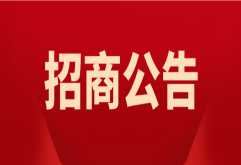 关于新洪城大市场「谷茉谷墨·5谷粮仓」二次元创意市集摊位的招商公告