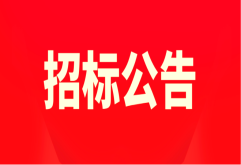 招标公告丨新洪城大市场C10-C16大东门供配电工程公开招标公告