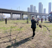 洪大科技物流园开展全民植树活动 助力绿色园区建设