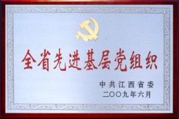 2009年全省先进基层党组织