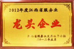 2012年度江西省服务业龙头企业