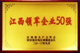 2013年江西领军企业50强