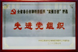 2013年双强百佳评选“先进党组织”