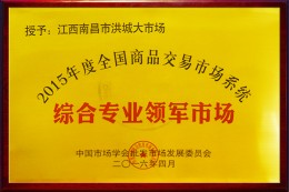 2016年综合专业领军市场
