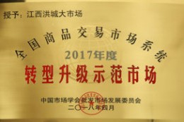 洪大集团荣获2017年度转型升级示范市场