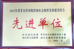 2023年度非公经济组织和社会组织党的建设综合先进单位