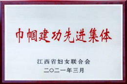 巾帼建功先进集体(洪大女农民工之家)