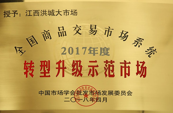 洪大集团荣获2017年度转型升级示范市场