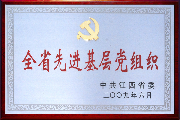 公司党委荣获市委、市商贸委“先进基层党组织”称号