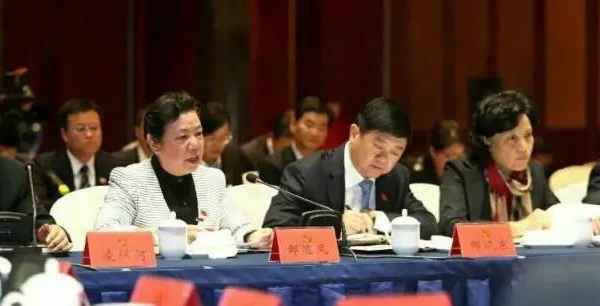 集团党委书记余小玲作为省党代表参加省第十四次代表大会