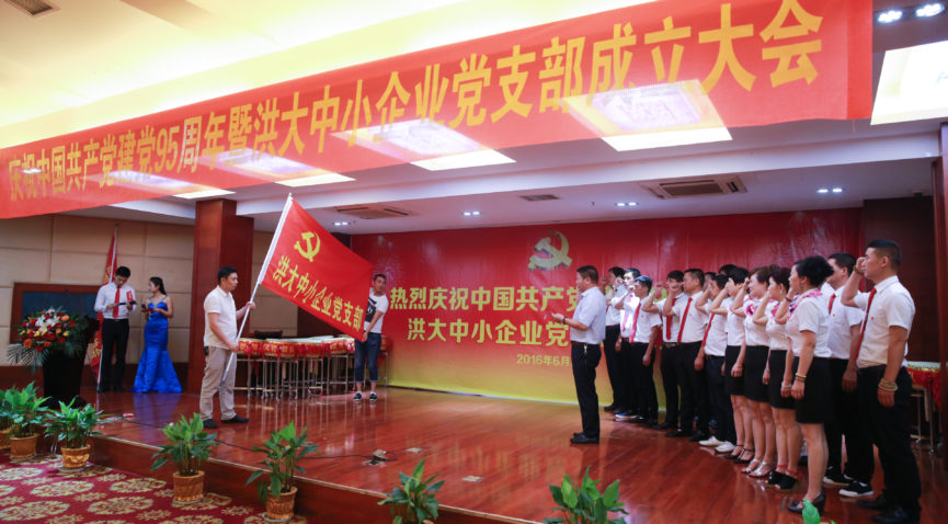 [两学一做]洪大中小企业党支部成立